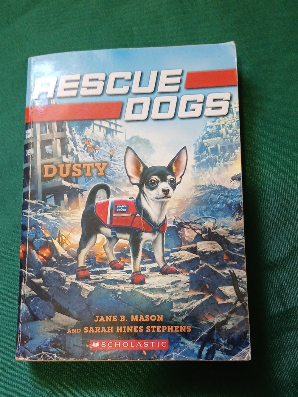 N8 Scholastic Rescue Dogs: Dusty with Red Accents